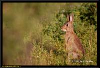 La Maison de La Tour